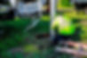 septic service
