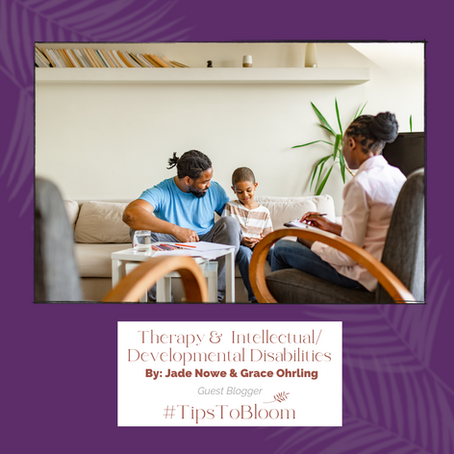 Impact of Therapy for Individuals with Intellectual & Developmental Disabilities poster