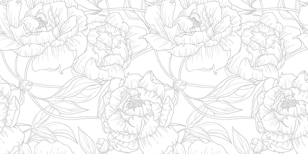 peonies line art