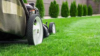 lawn mowing
