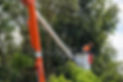 An arborist prunes trees close to power lines
