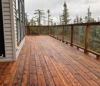 Dark brown wood deck with forest background