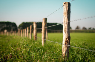 wired fence