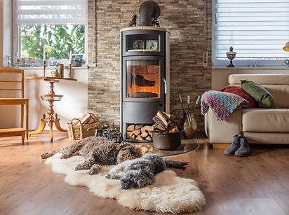 Traîner ensemble devant la cheminée, deux chiens se détendent sur une peau de mouton devant / Hanging out together in front of the fireplace, two dogs chilling on a sheepskin in front 