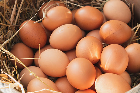 brown eggs