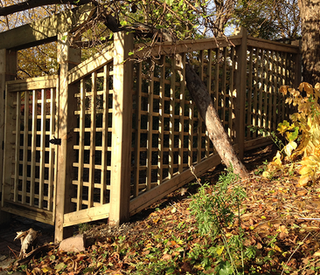 Wooden fence and gate