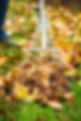 leaf raking