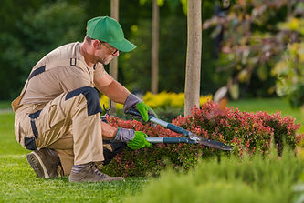 landscaper