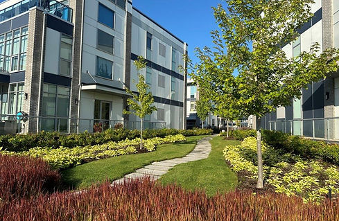 commercial lawn
