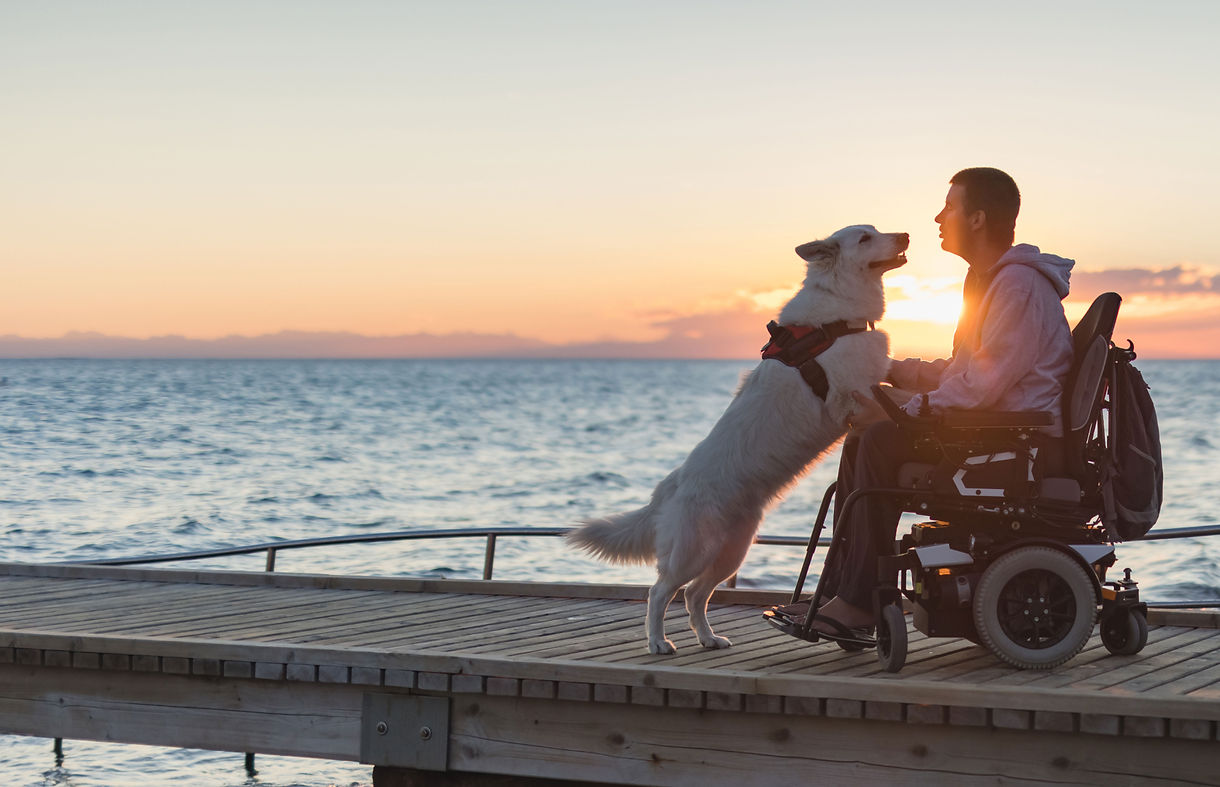 at the beach with dog