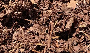 interior mulch