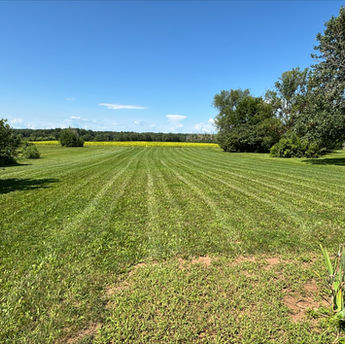 huge property with freshly trimmed lawn