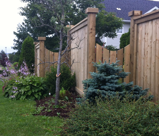 Wooden fence with foliage 