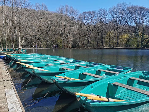 Rowing boats parked along lake
