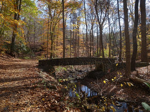 紐約近郊賞楓推薦South Mountain Reservation；超好吃葡塔Teixeira's Bakery