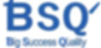BSQ-Logo_edited