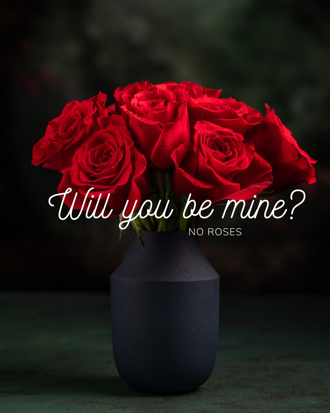 Will You Be Mine - No Roses