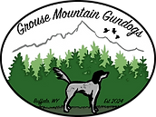 GMG Cleaned up _edited_edited.png