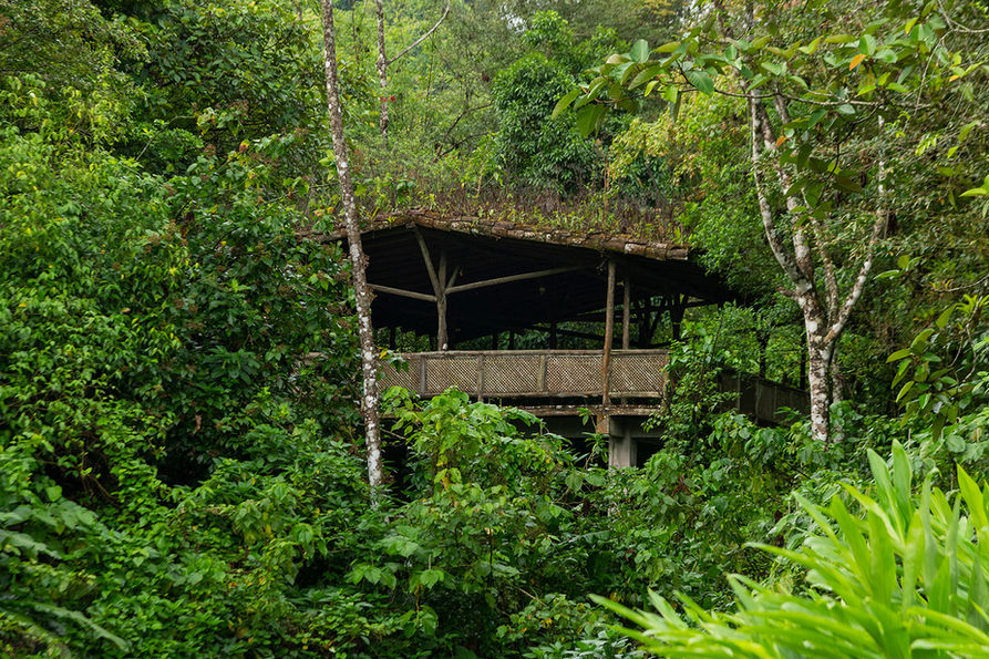 At Rancho Margot we live sustainability. You will see this portrait in all our amenities at the eco resort in Costa Rica. Apart from the benefit for the environment, our green roofs provide a cooling event to our buildings.