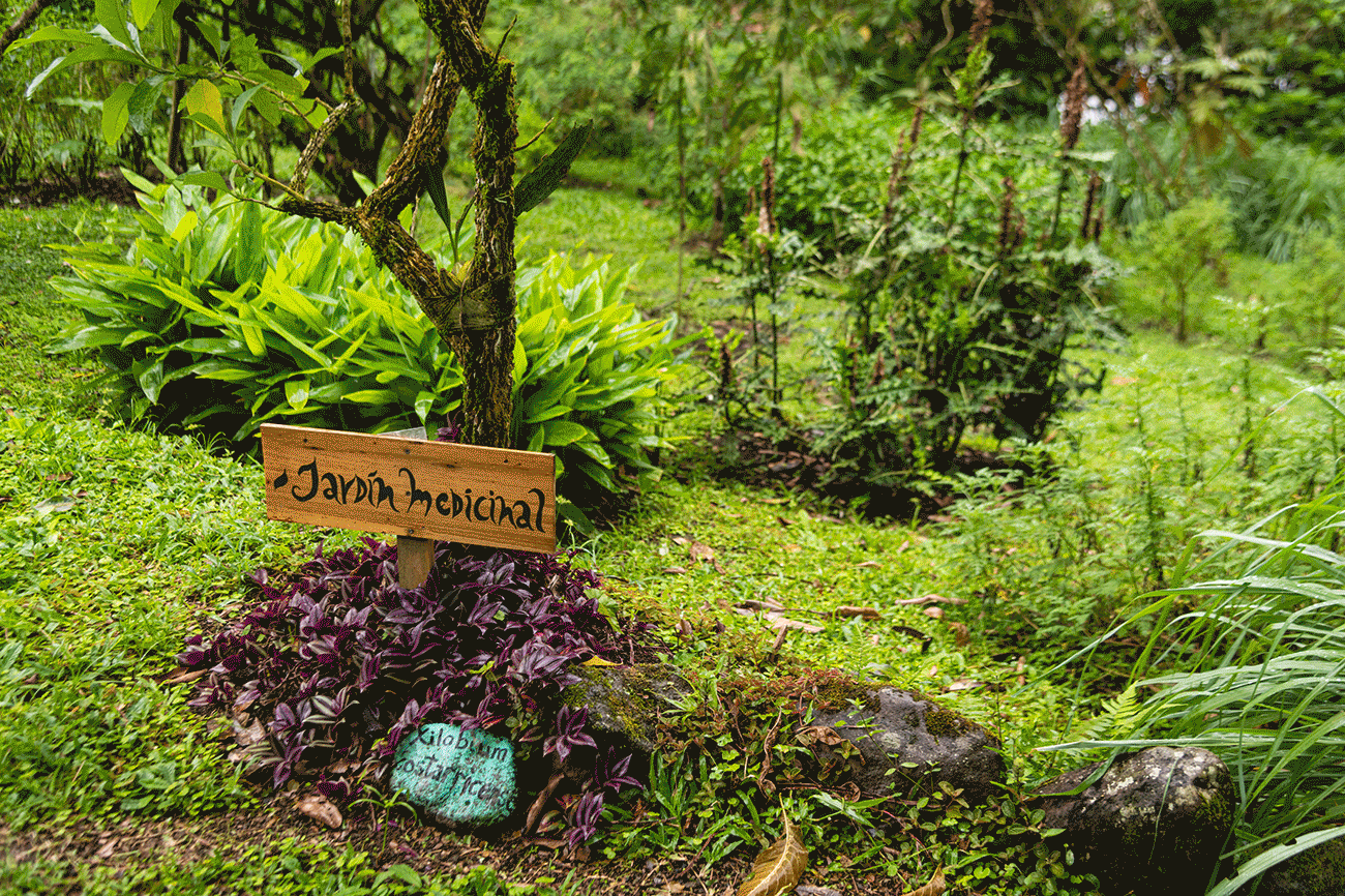 At Rancho Margot we offer a wide range of tours for guest and one-day visitors. The tours are fun and engaging and you will get to learn all about the sustainable resort in Costa Rica.