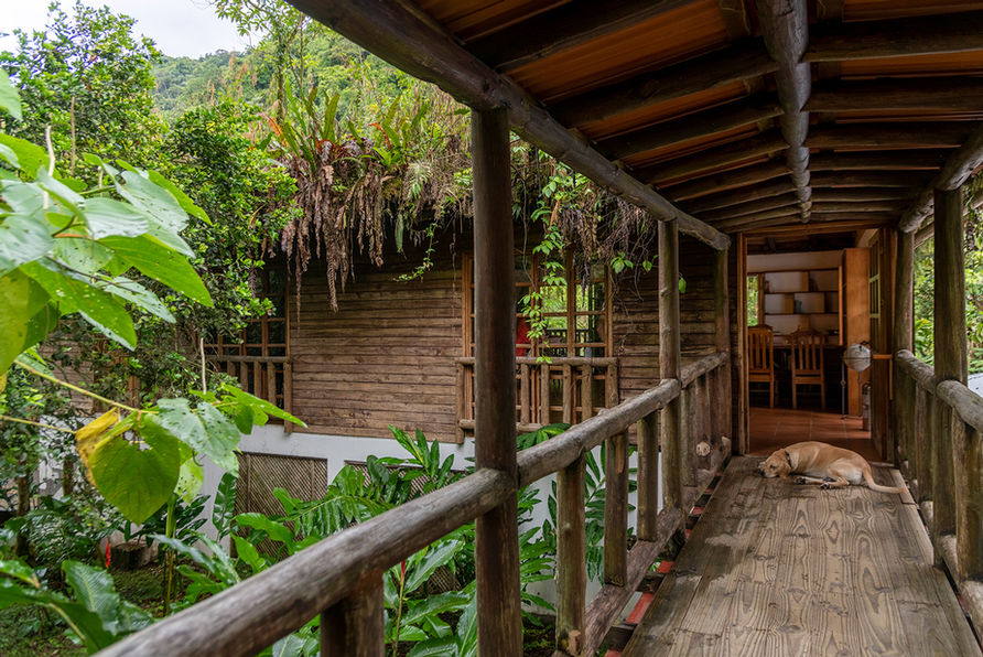 The library at Rancho Margot, your eco hotel in Costa Rica, is a separate building with a green roof that offers you a wide range of books and a big space to wind down, watch birds on the terrace or just read a book on your favourite topic.