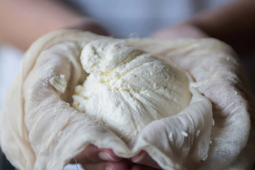 Satisfy your curiosity by learning the age-old process of creating farm-fresh cheese in Costa Rica at our eco resort Rancho Margot.