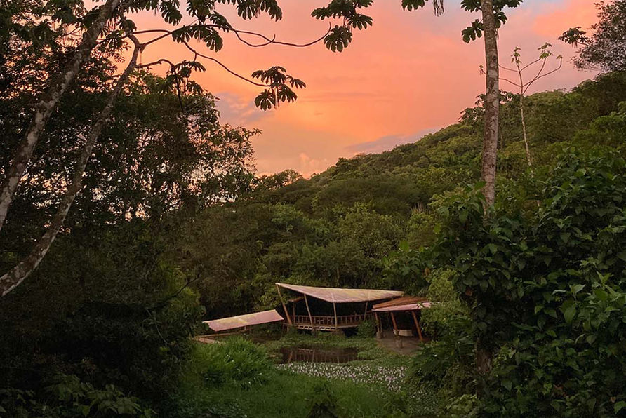 Our Yoga Shala in the middle of the rain forest in Costa Rica is just one of the perks that you get to experience at the eco resort Rancho Margot. Join a yoga class here and immerse yourself into the experience.