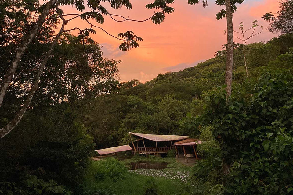 Our Yoga Shala in the middle of the rain forest in Costa Rica is just one of the perks that you get to experience at the eco resort Rancho Margot. Join a yoga class here and immerse yourself into the experience.