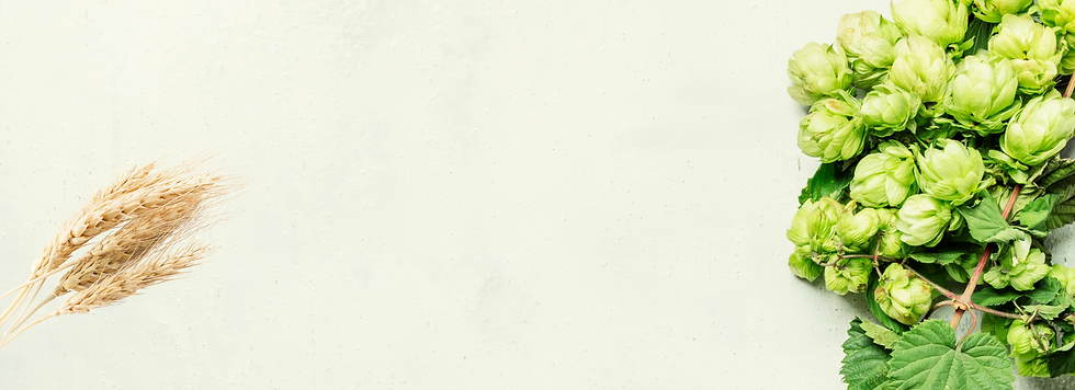 beer background-5.png
