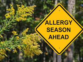 How Better Workplace Air Quality Can Support Employees During Hay Fever Season