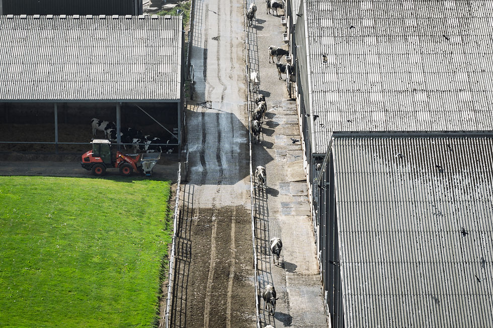 UK-Farm-Top-View