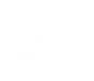 seguridad-icon