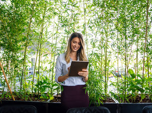 Sustainability season