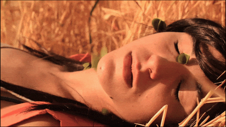 SHORT FILMS & VIDEO CREATIONS