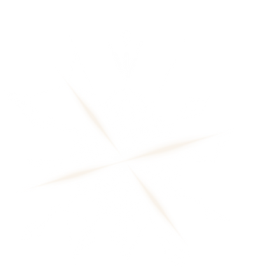 Prisma Logo
