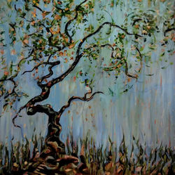 20746201_636789143186045_920880168352509