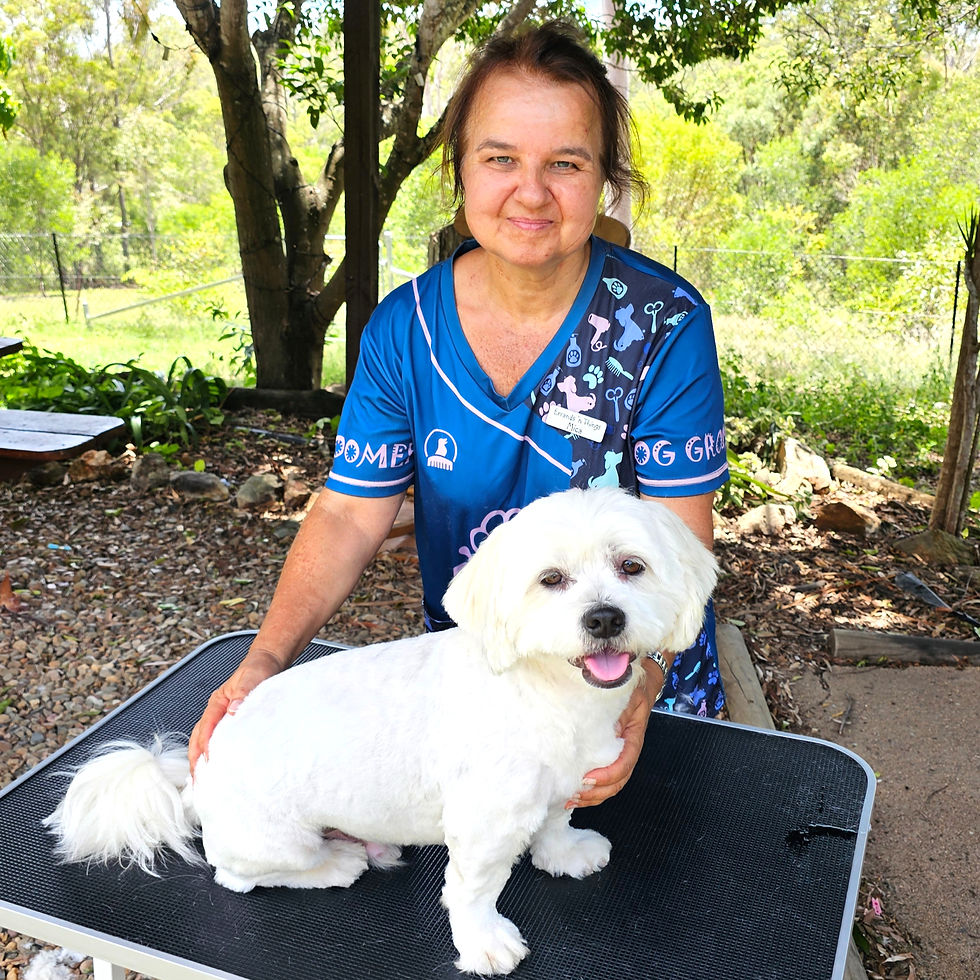 House-call Dog Grooming