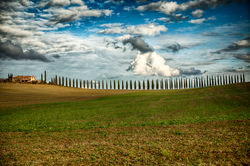 Toscanità