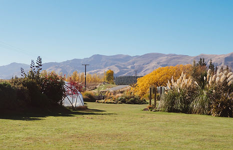 TAH-1010089.jpg