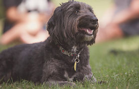 EDT Studio-20240218 Pooped 2024-89 (1).jpg