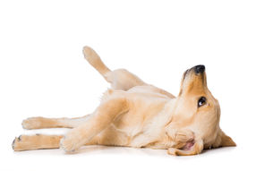 AdobeStock_254522707.jpeg