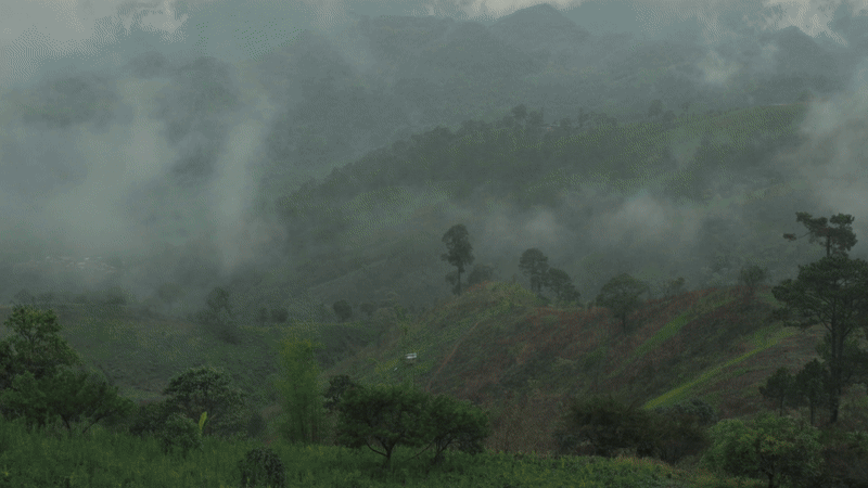 northernthailand-ezgif.com-video-to-gif-converter-2.gif