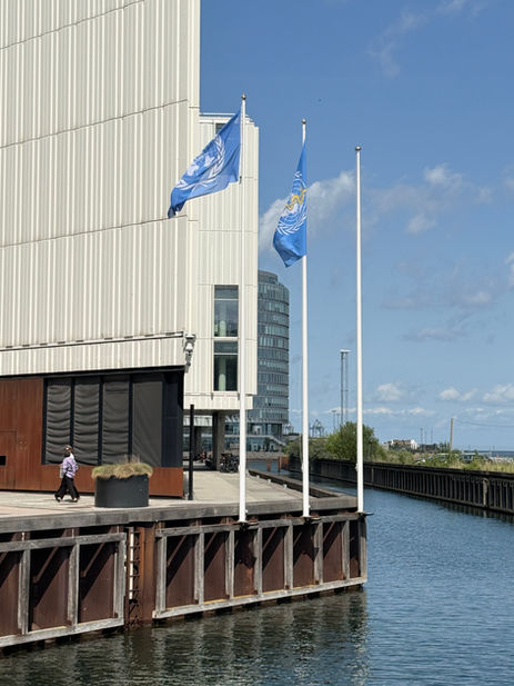 BoxWall at UN City: A Dual Mission for Impact and Infrastructure🇺🇳