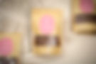DSC09355ps.jpg