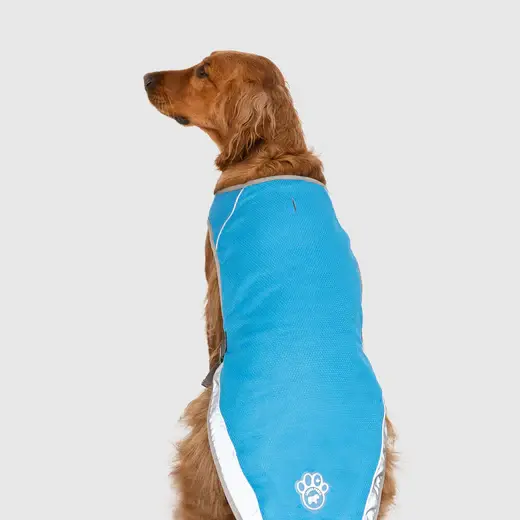Thumbnail: Canada Pooch Chill Seeker Cooling Vest