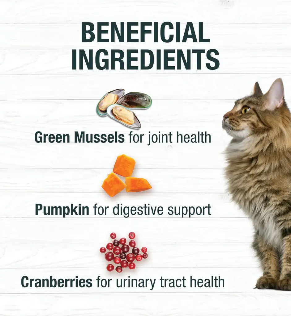 Thumbnail: Koha Minimal Ingredient Turkey Stew for Cats 5.5OZ (Case of 24)
