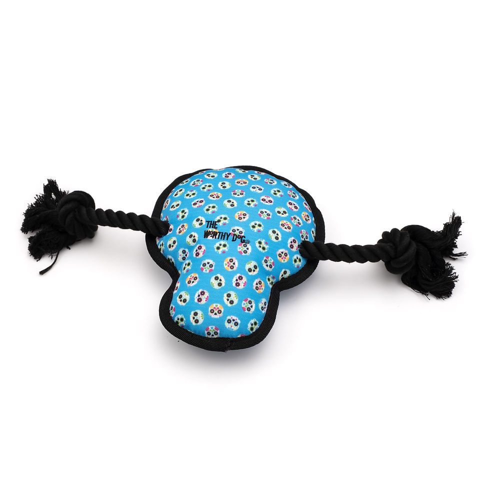 Thumbnail: The Worthy Dog Sugar Skull Toy, Small
