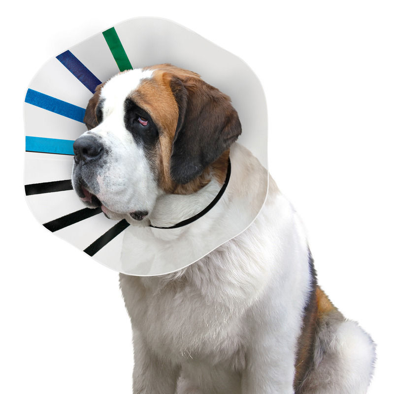 Thumbnail: KONG E-collar Ez Clear™