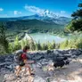 Thumbnail: Kurgo Double Dog Leash Extender