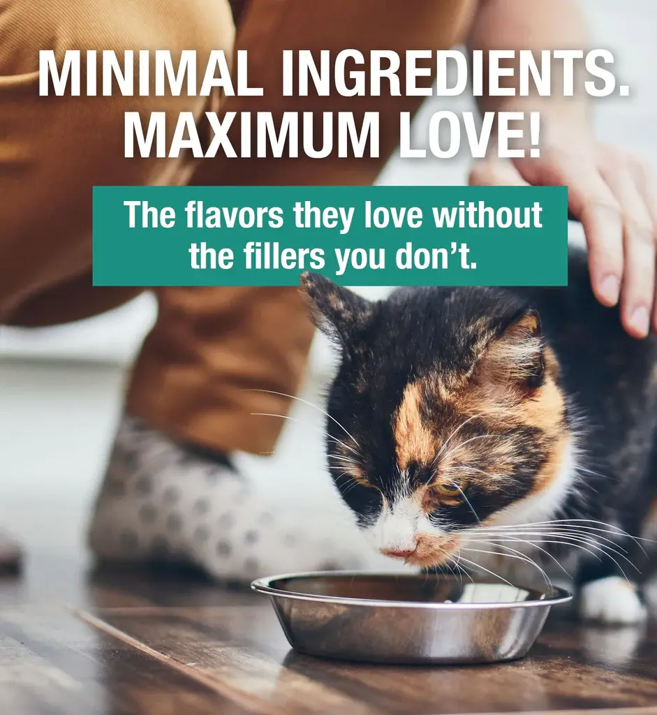 Thumbnail: Koha Minimal Ingredient Turkey Stew for Cats 5.5OZ (Case of 24)